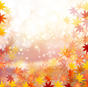 枫叶秋天的树叶背景