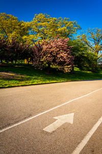 铺设走道和多彩树在巴尔的摩的德鲁依山公园