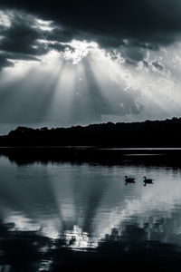 反映了戏剧性的天空和鹅在湖平肖在吉福德