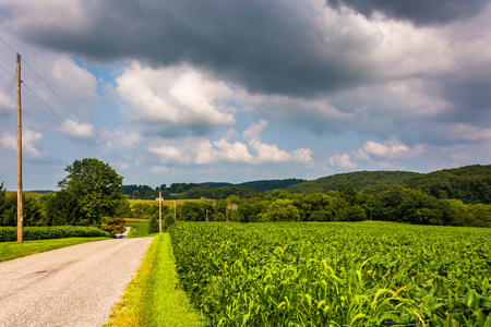 农田和农村约克县，宾夕法尼亚州的乡村路