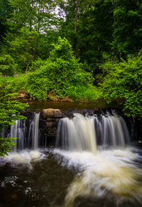 在安提坦河附近阅读，宾夕法尼亚州的小瀑布