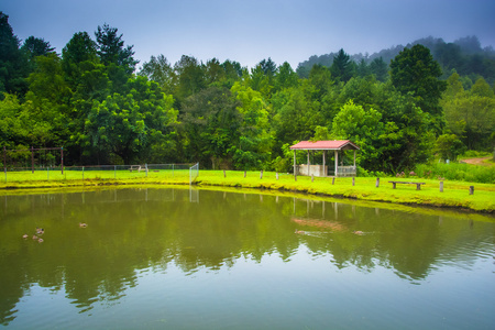 池塘里 rosman，北卡罗莱纳州