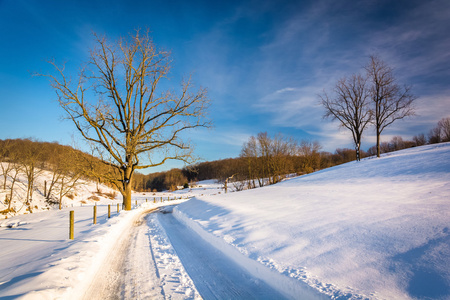 在七个山谷，宾夕法尼亚州路上冰雪覆盖的树木