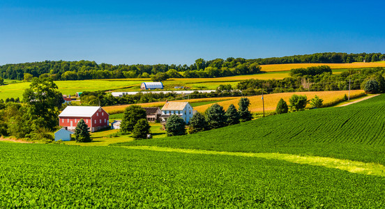 在农村约克县，宾夕法尼亚州的一个农场的视图