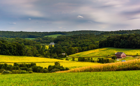 农田和起伏的丘陵区农村纽约县，宾夕法尼亚的视图