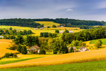 农田和起伏的丘陵区农村纽约县，宾夕法尼亚的视图