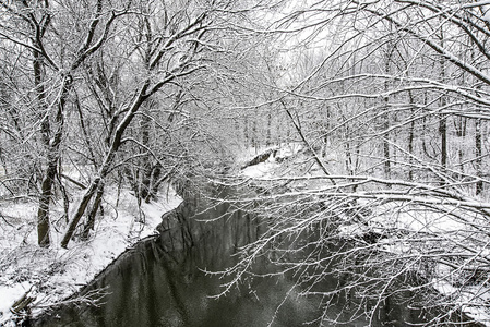 溪水上的第一场雪图片