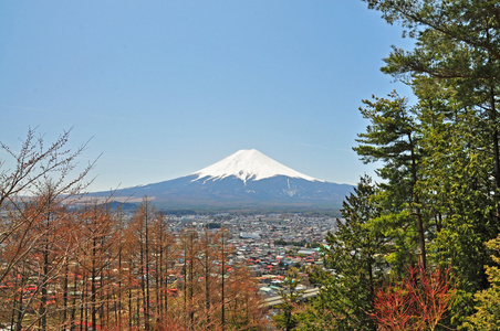 富士山