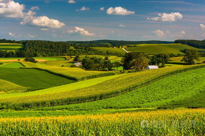 农田和连绵起伏的丘陵在南约克郡p视图