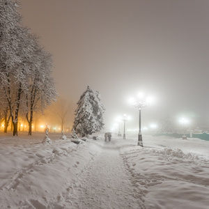 冬季城市公园在晚上。基辅乌克兰