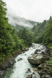 山中的小溪