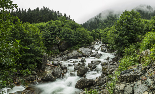 山中的小溪