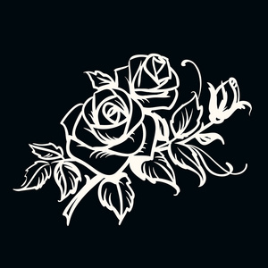 玫瑰。绘图在黑色背景上的白色轮廓