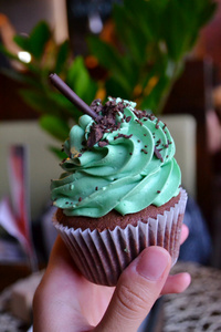 美味的巧克力蛋糕，与绿薄荷结霜
