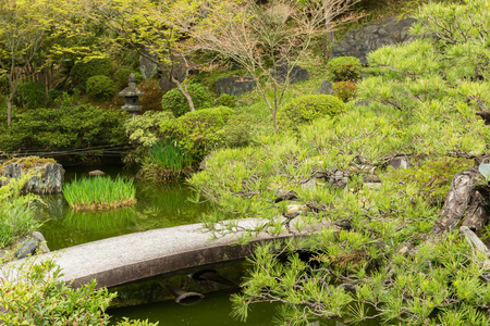 风光日本花园