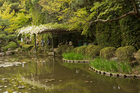 平安神宫附近的日本花园的景色