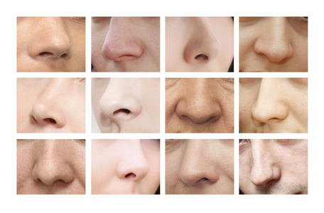 鼻子。各种形式的鼻子
