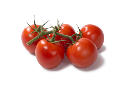 群的新鲜的番茄