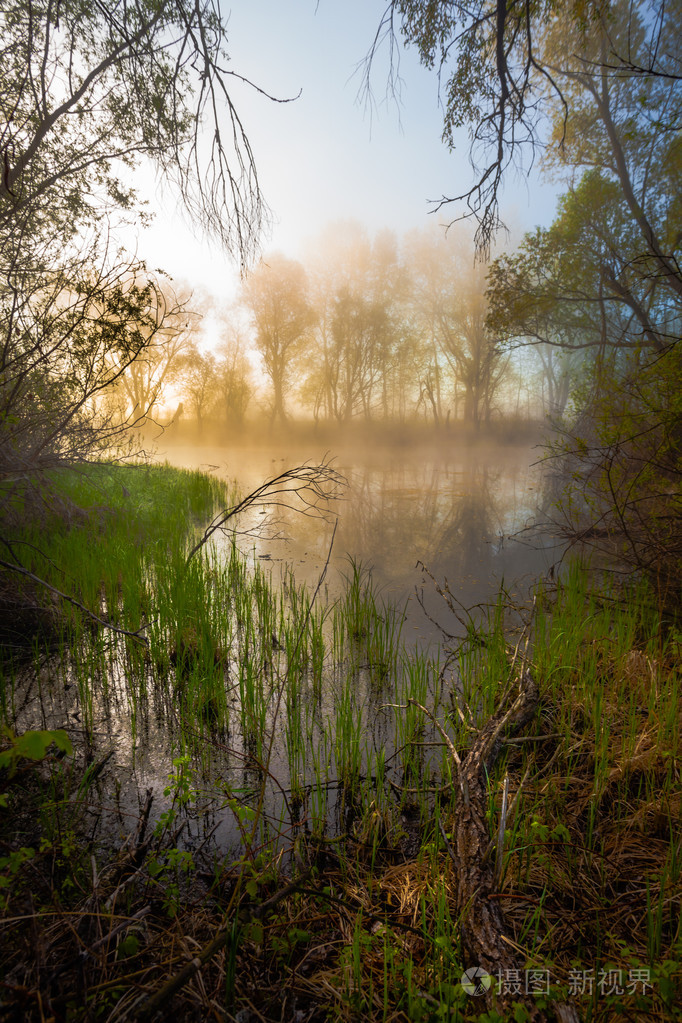 湖边的宁静多雾的早晨照片-正版商用图片1gmhi8-摄图新视界