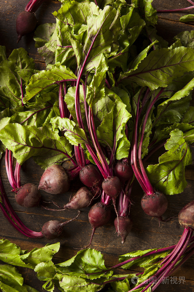 原料有机红甜菜