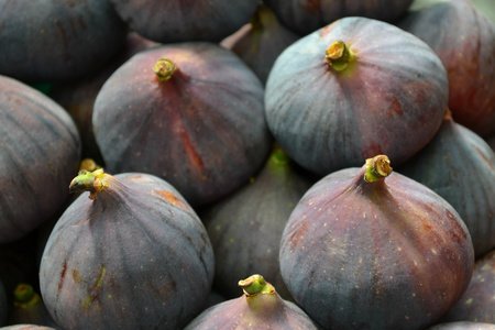 haelthyhaelthy 紫色无花果照片