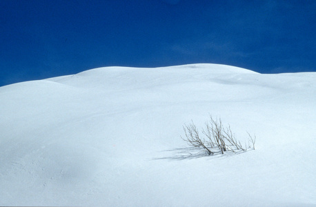 小山与雪图片