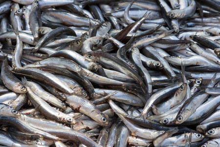 很多鱼图片-很多鱼素材-很多鱼插画-摄图新视界