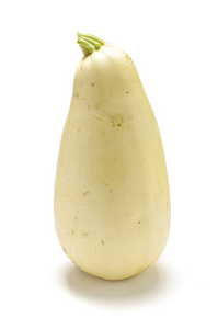 压强孤立的白色背景上的白色西葫芦照片