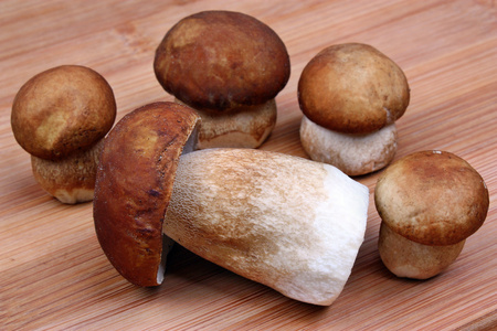 五个蘑菇牛肝菌