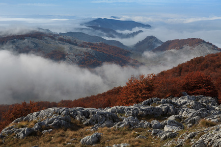 山风景