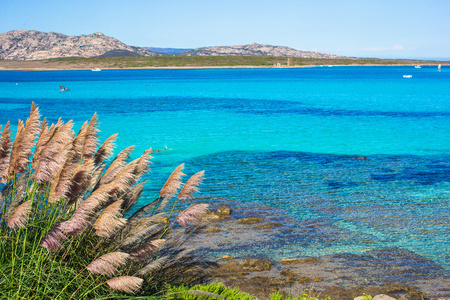 美丽的景色，绿松石的清除在撒丁岛上的海