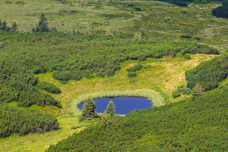 小山上的湖