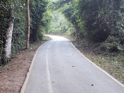 曲线沥青道路视图