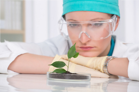 女人生物学家实验室