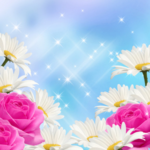 鲜花和星星图片