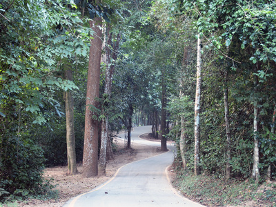 曲线沥青道路视图