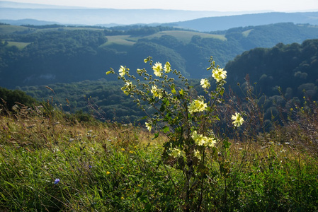 山谷