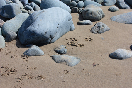 岩石在沙滩纹理背景