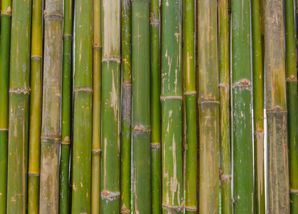 绿色的竹篱笆背景纹理图案