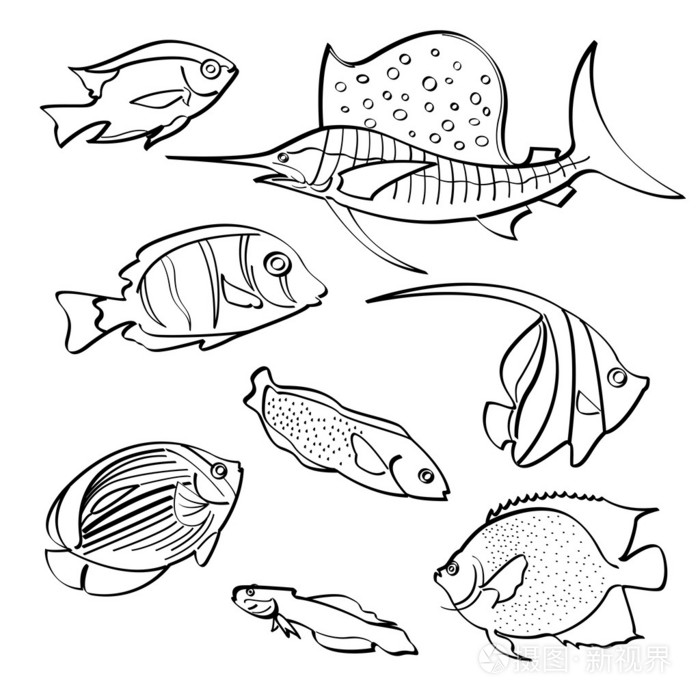 鱼类集合插画-正版商用图片1gnpy0-摄图新视界