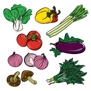 蔬菜的颜色集