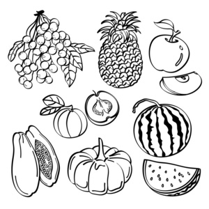 有机水果套图片