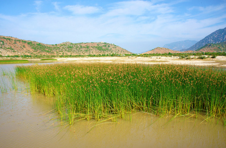 美丽的风景，越南农村