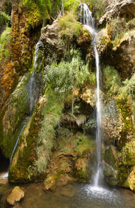 有绿色的植物和花在西班牙的瀑布