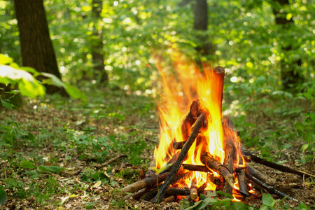 在森林里的篝火照片