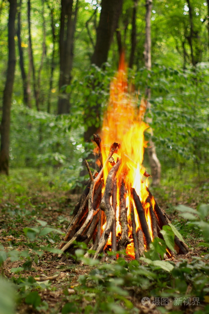 在森林里的篝火