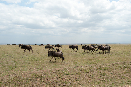 gnu 迁移