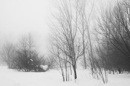 下雪在公园里的景观