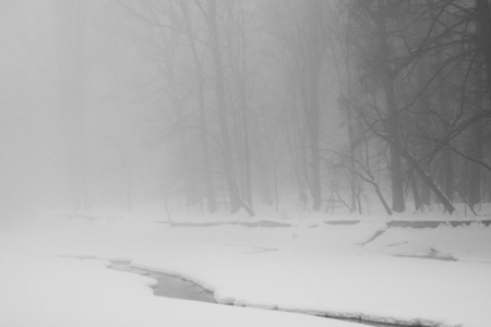 下雪在公园里的景观