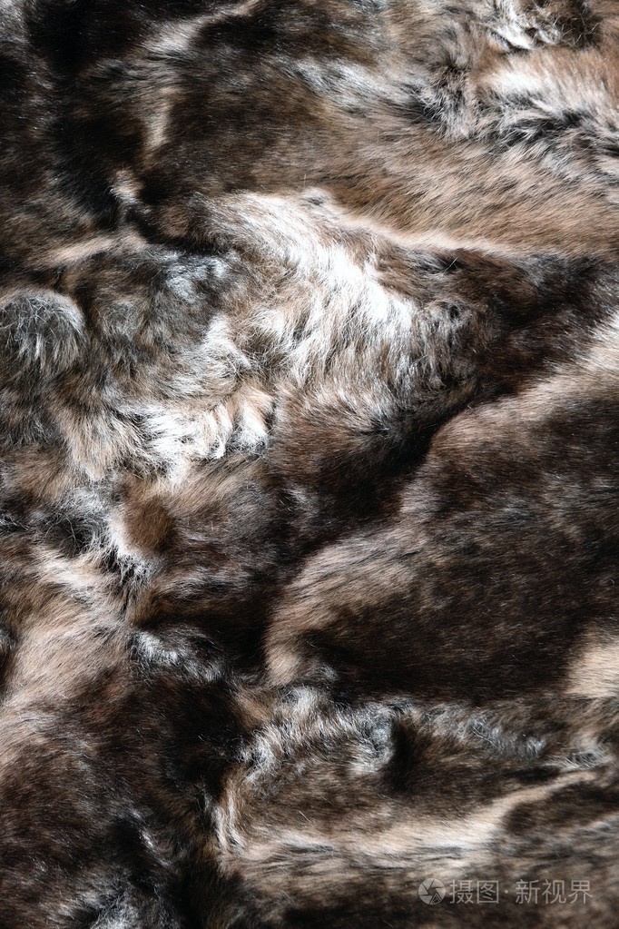 动物皮肤